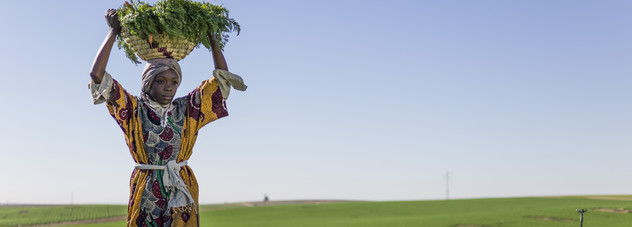 Farmer in the field